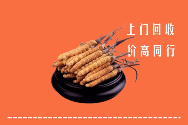 高价求购：淮南回收散虫草