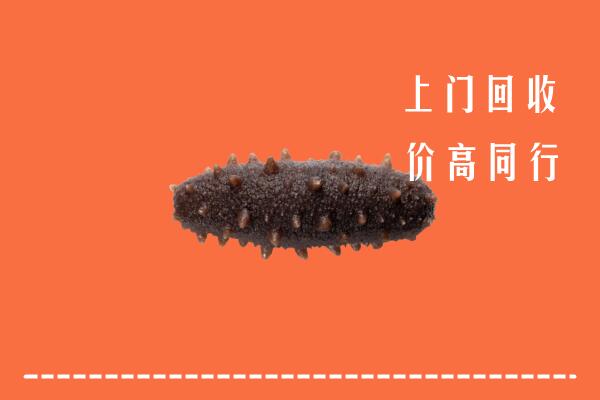 高价求购：淮南回收海参